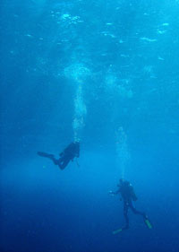 buceo