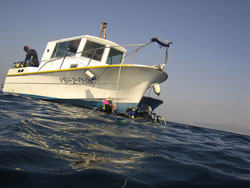 inmersin desde barco