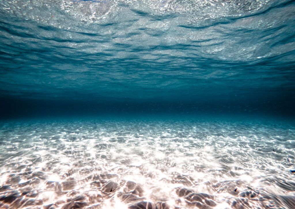 Bucear en Bucear en Belice: Turneffe, Lighthouse Reef y Blue Hole