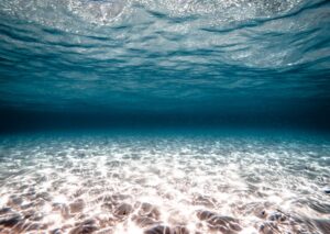 Bucear en Belice: Turneffe, Lighthouse Reef y Blue Hole