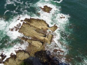 Bucear en Costa Rica: Cocos, Bat Islands y Pacifico salvaje