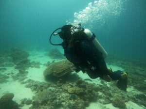 Bucear en Zanzibar y Pemba: arrecifes, paredes y canales del Indico