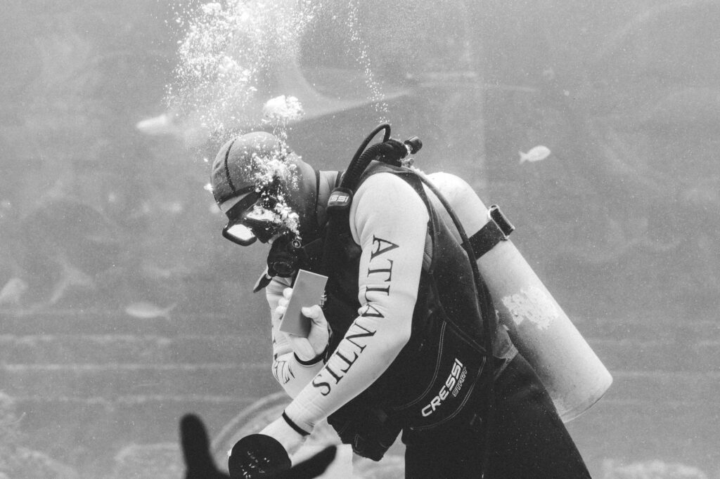 Cressi Leonardo: el mejor ordenador de buceo para principiantes