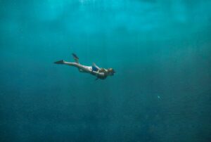 Bucear en Moalboal: sardine run, tortugas y Cebu facil