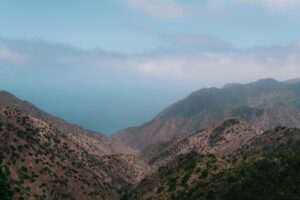 Bucear en La Gomera: inmersiones tranquilas y costa volcanica