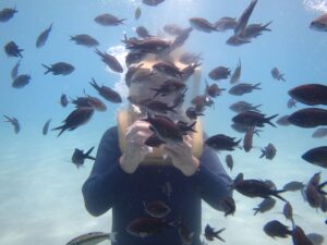Cómo identificar los peces más comunes del Mediterráneo