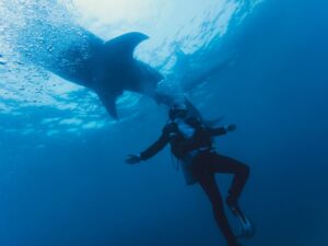 Bucear en Tofo, Mozambique: mantas, tiburon ballena y costa abierta