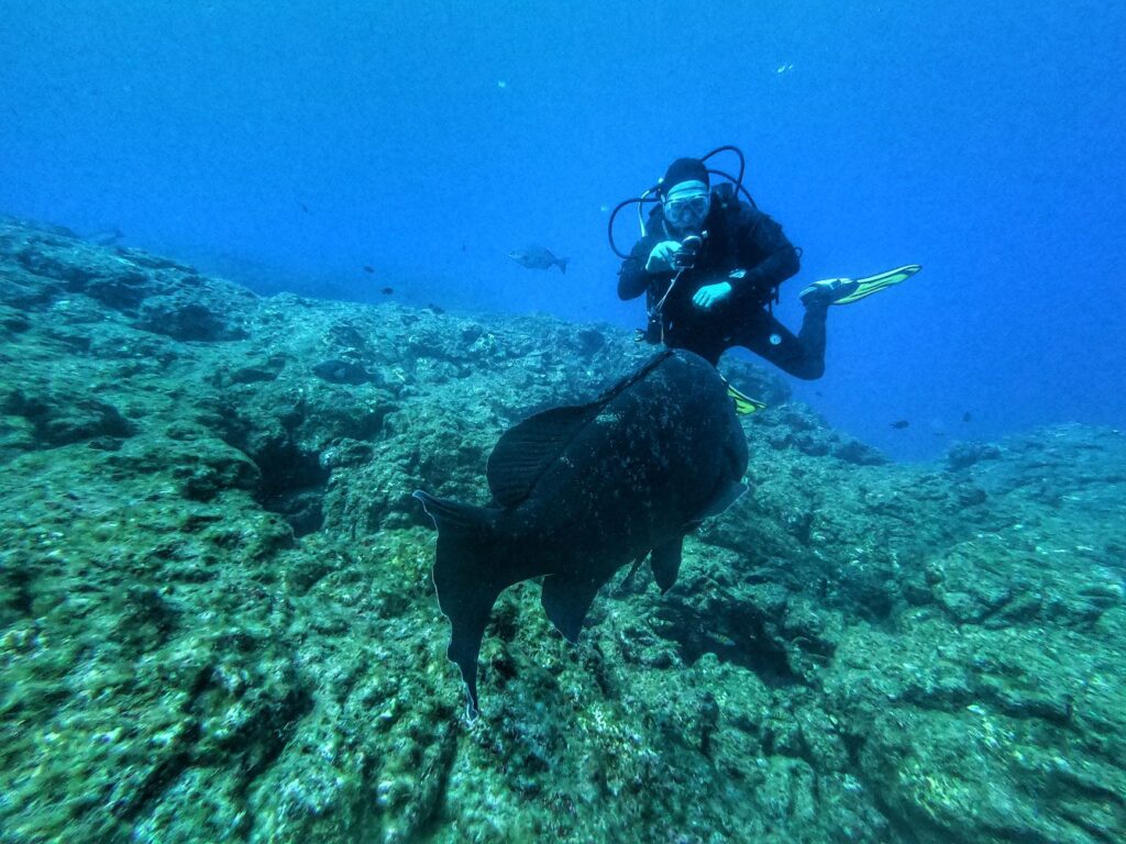Bucear en Bucear en Azores: Pico, Santa Maria y azul atlantico