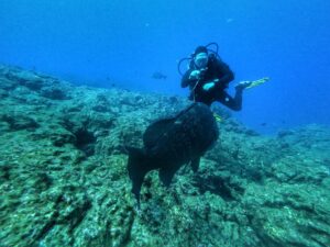 Bucear en Azores: Pico, Santa Maria y azul atlantico