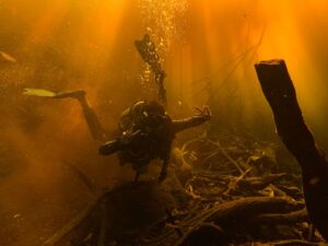 Apnea y buceo a pulmón: técnica, límites y diferencias con el buceo con equipo