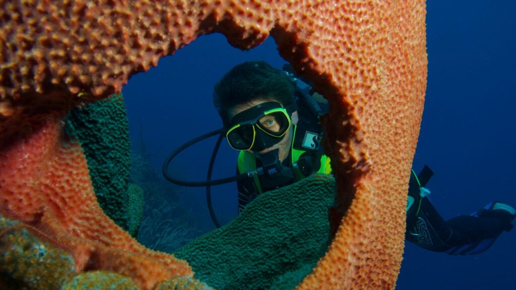 Bucear en Bucear en Little Bahamas Bank: tiburones, arena blanca y azul