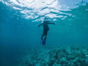 Bucear en Sulawesi: Bunaken, Lembeh y macro de clase mundial
