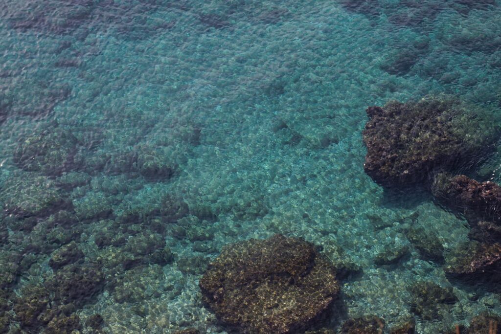 Bucear en Bucear en las Hébridas: agua fría, paredes y fauna atlántica