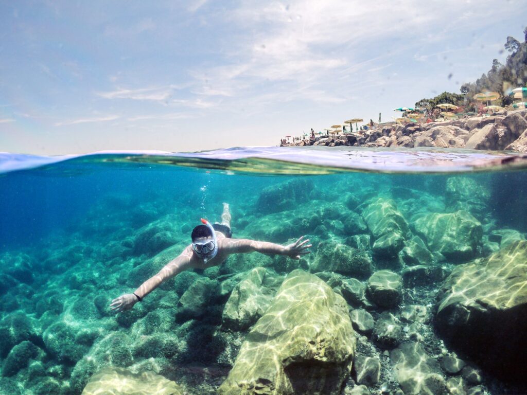 Bucear en las Islas Medas: reserva marina, meros y consejos