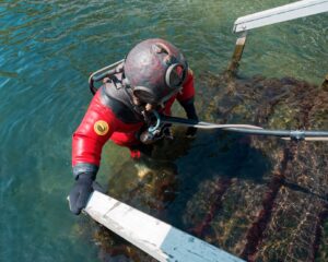 Federaciones de buceo en España: FEDAS, ACUC, CMAS y más