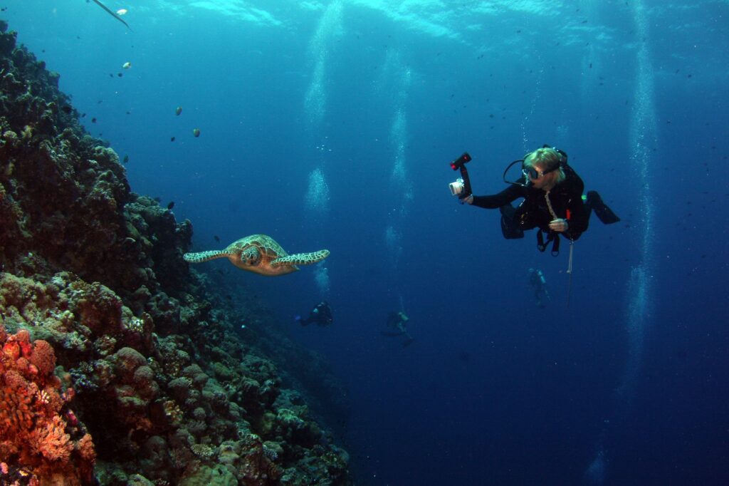 Hidratación y buceo: por qué es crucial beber agua antes de sumergirte