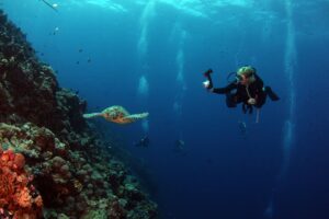 Hidratación y buceo: por qué es crucial beber agua antes de sumergirte