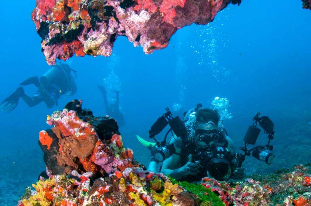 Control de flotabilidad: la habilidad más importante del buceo