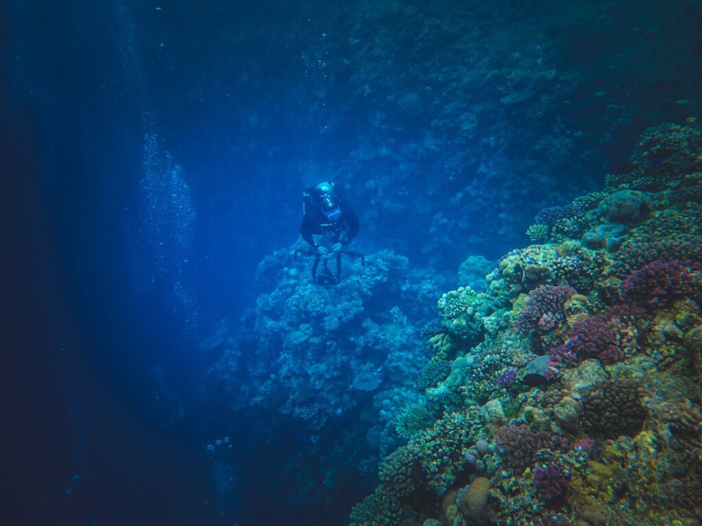 Cómo salir del agua con el equipo de buceo: técnica y seguridad