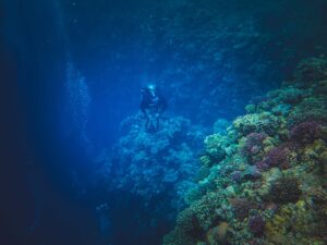 Cómo salir del agua con el equipo de buceo: técnica y seguridad