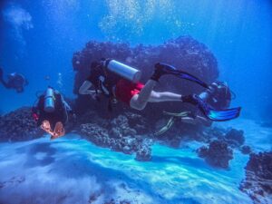Cómo localizar a tu compañero de buceo si le pierdes de vista